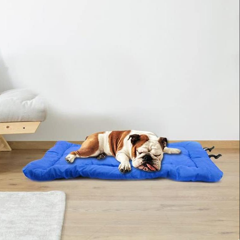 Matelas Chien - CampComfyNest™ - Bleu