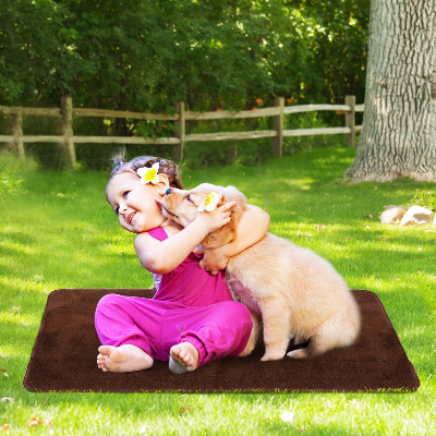 Tapis pour chien - PortableDogMat™ - Marron