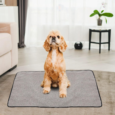 Tapis pour chien - PortableDogMat™ - Gris clair